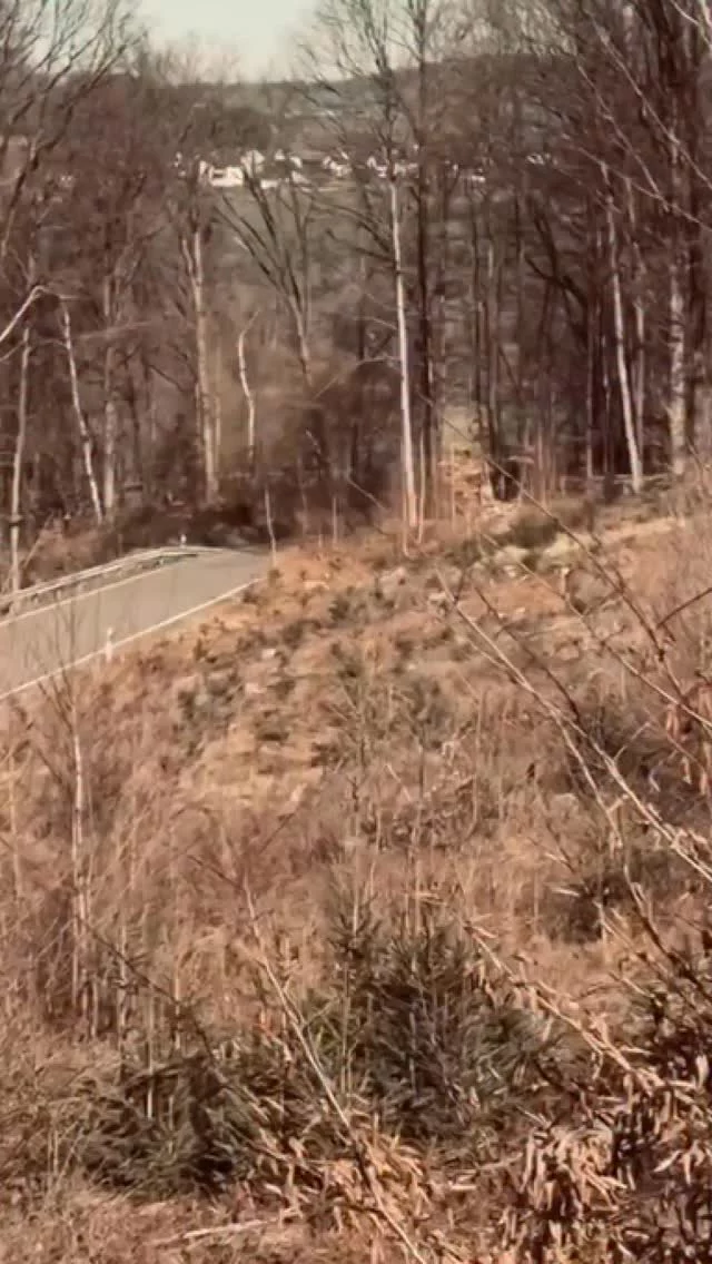 Instagram post from wasserluft_liebe. This post is in position 5.